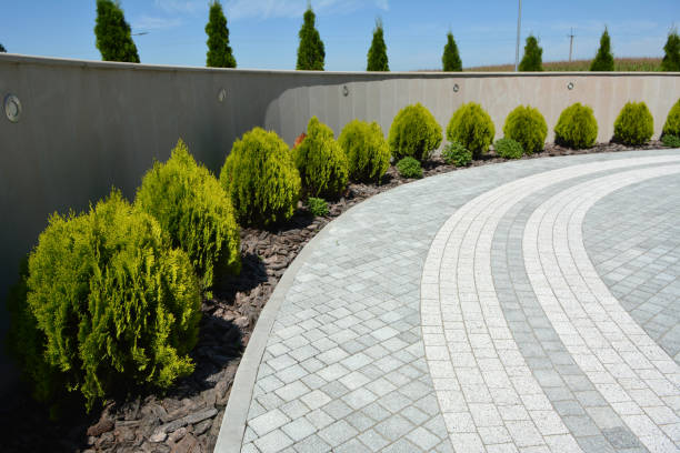 Best Decorative Driveway Pavers  in Miles, TX